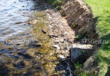 Способы укрепления берега