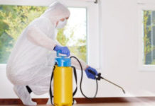 Как продезинфицировать помещение от вирусов