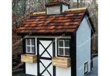 Курятник: каким он должен быть