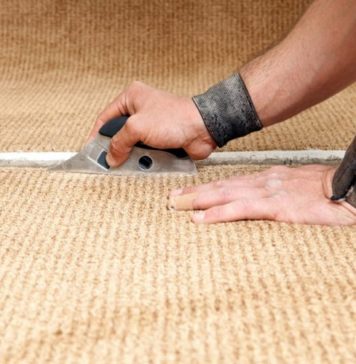 Ковёр в офисе: когда нужно менять покрытие