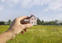 Покупка земли в Карелии: что учесть