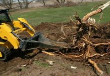 Профессиональная расчистка участка: удаление деревьев и кустарников, уборка мусора и вывоз поросли
