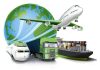 Транспортно-логистическая компания: спектр услуг