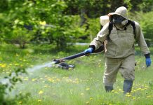 Проведение акарицидной обработки в МО: способы и особенности