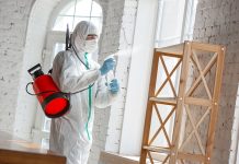 Как проводится дератизация помещений?