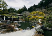 Как выбрать оборудование для вашего искусственного пруда: советы и рекомендации