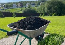 Как доставка плодородного грунта экономит время и деньги в ландшафтных проектах