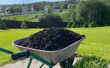 Как доставка плодородного грунта экономит время и деньги в ландшафтных проектах