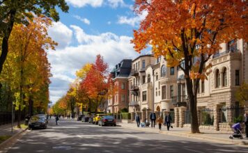 Экологичные материалы в элитном московском жилье: как забота о здоровье сочетается с роскошью